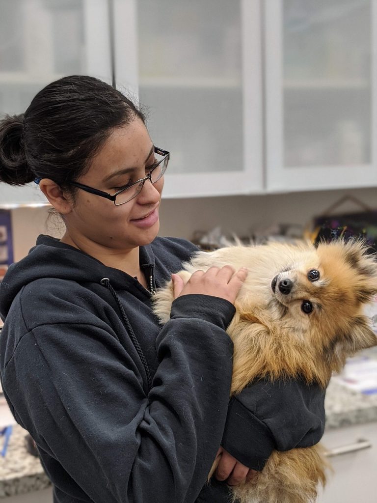 dog, nature, veterinarian, veterinary clinic, vet, woman, female, pet, animal, domestic dog, canine, mammal, cute, adorable, portrait