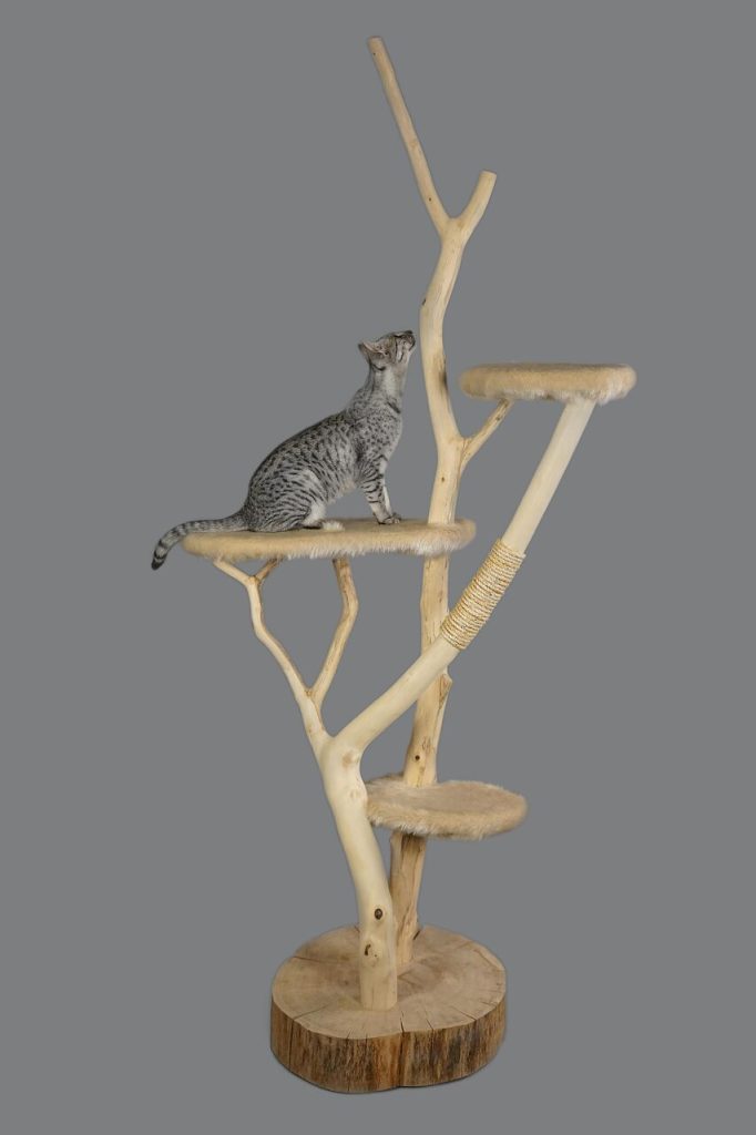 cat furniture, cat, scratching post, cats, animal, pet, naturally