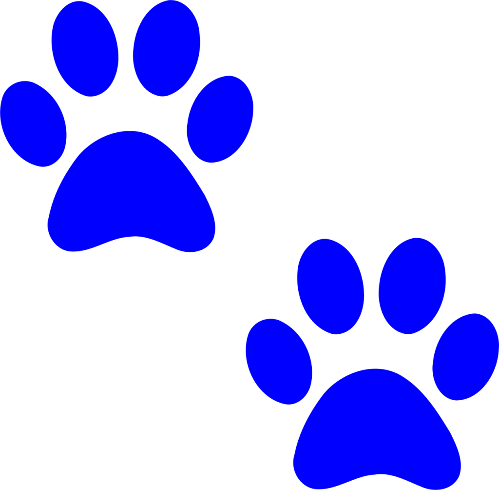 paw prints, dog, paw, print, cat, foot, pet, animal, footprint, puppy, track, pattern, silhouette, walk, pawprint, prints